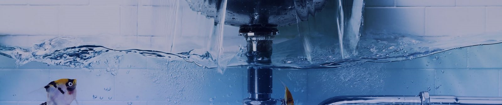 DESENTUPIDORA JT (LORENA/SP), desentupidoras rj